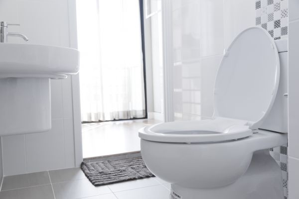 Toilet Seat Installation in Kingman